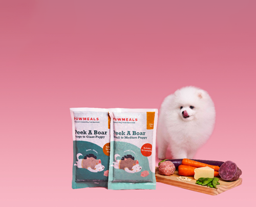 Banner Puppy Stage Banner Puppy Stage